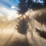 Wyyng（ウィング）　ホームページ仮オープン